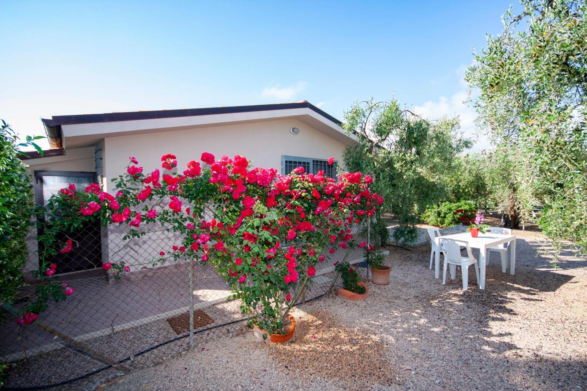 Agrimare I Pavoni Apartment Montalto di Castro Bagian luar foto